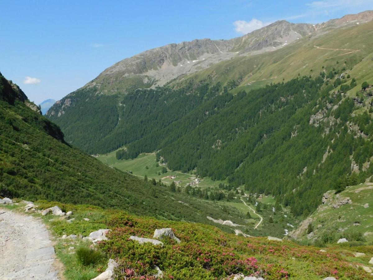 Hostel - Bormio - Livigno - Santa Caterina - Stelvio Sondalo Exteriér fotografie
